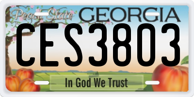 GA license plate CES3803