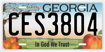 GA license plate CES3804