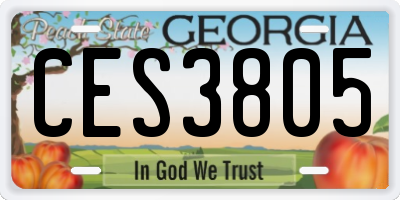 GA license plate CES3805