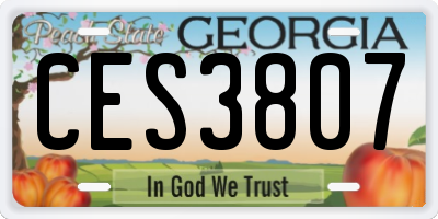 GA license plate CES3807