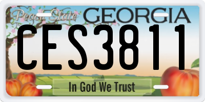 GA license plate CES3811