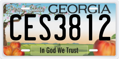 GA license plate CES3812