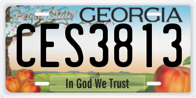 GA license plate CES3813