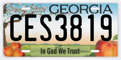 GA license plate CES3819