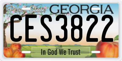 GA license plate CES3822