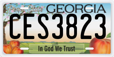 GA license plate CES3823