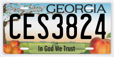 GA license plate CES3824