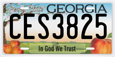 GA license plate CES3825