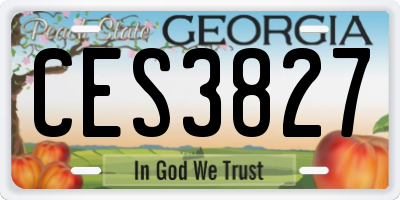 GA license plate CES3827