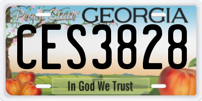 GA license plate CES3828