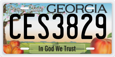 GA license plate CES3829
