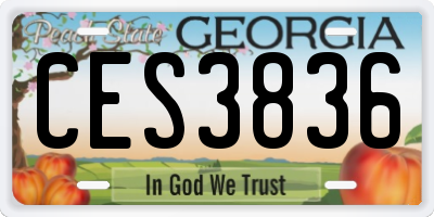 GA license plate CES3836