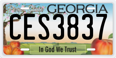 GA license plate CES3837