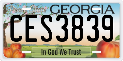 GA license plate CES3839