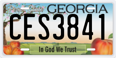 GA license plate CES3841