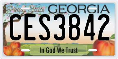 GA license plate CES3842