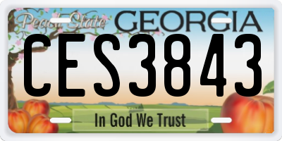 GA license plate CES3843
