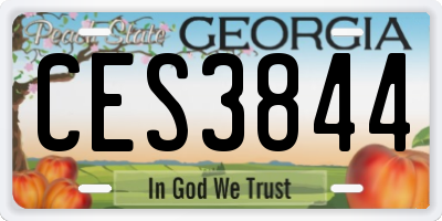 GA license plate CES3844