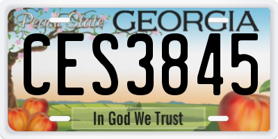 GA license plate CES3845