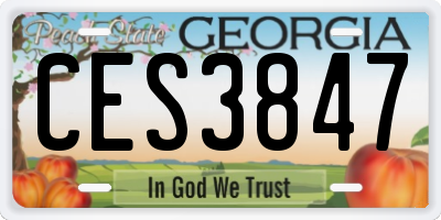 GA license plate CES3847