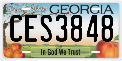 GA license plate CES3848