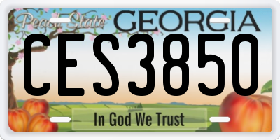 GA license plate CES3850