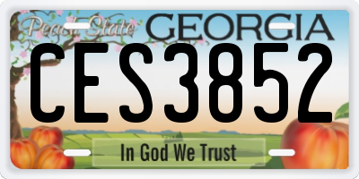 GA license plate CES3852