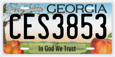 GA license plate CES3853