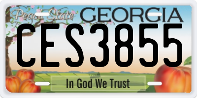 GA license plate CES3855