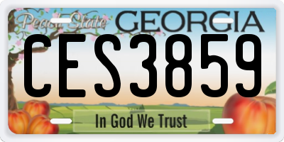 GA license plate CES3859