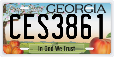 GA license plate CES3861