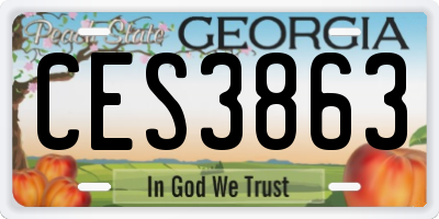 GA license plate CES3863