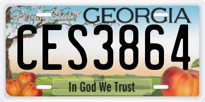 GA license plate CES3864