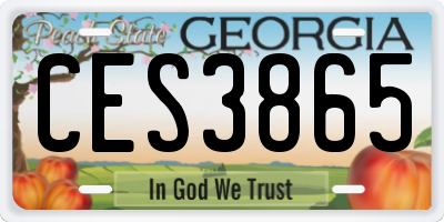 GA license plate CES3865