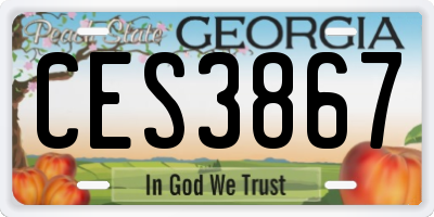 GA license plate CES3867