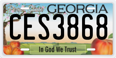 GA license plate CES3868