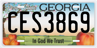 GA license plate CES3869