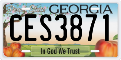 GA license plate CES3871