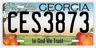 GA license plate CES3873