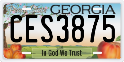 GA license plate CES3875