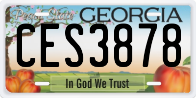 GA license plate CES3878