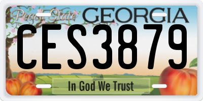 GA license plate CES3879