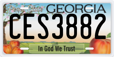 GA license plate CES3882