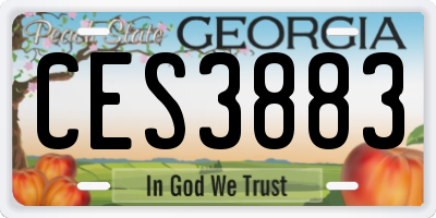 GA license plate CES3883