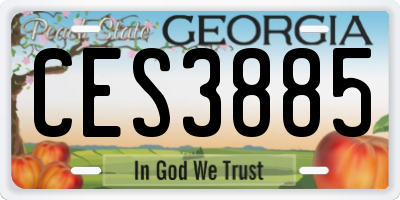 GA license plate CES3885