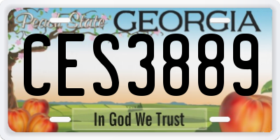 GA license plate CES3889