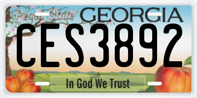 GA license plate CES3892