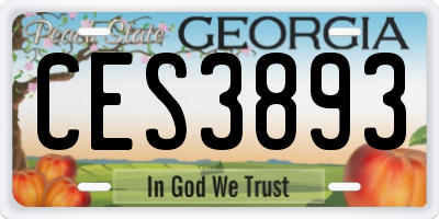 GA license plate CES3893