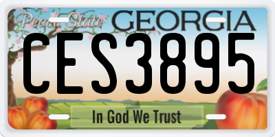 GA license plate CES3895
