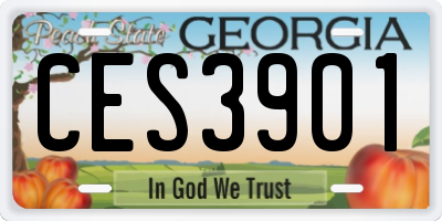 GA license plate CES3901